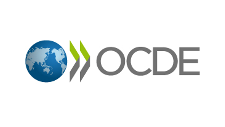 FNE em reunião com peritos da OCDE