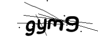 captcha_img