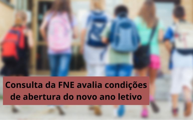 Consulta da FNE avalia condições de abertura do novo ano letivo