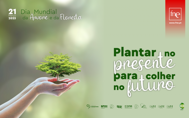 FNE e AFIET celebram Dia Mundial da Árvore e da Floresta