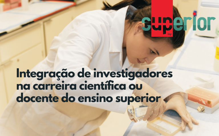 FNE defende quotas para ingresso de investigadores na carreira científica ou docente
