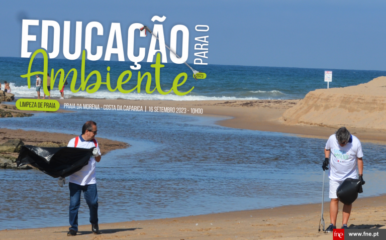FNE/AFIET e CM Almada promovem ação de limpeza na Praia da Morena 