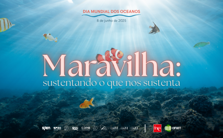 Dia Mundial dos Oceanos 2025 - 